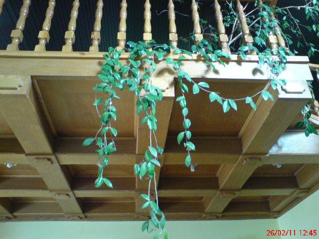 sufit nie musi byc bialy i zwykly