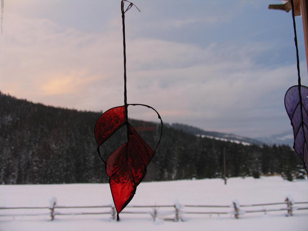 salon w chacie na śliwkówce