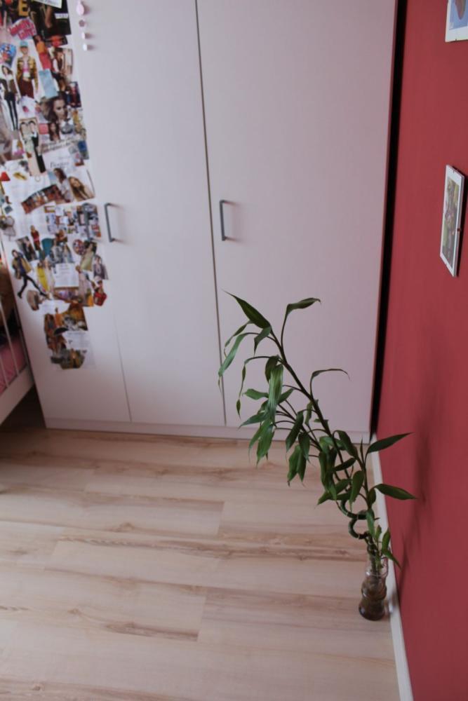 lato w odcieniach różu-konkurs-