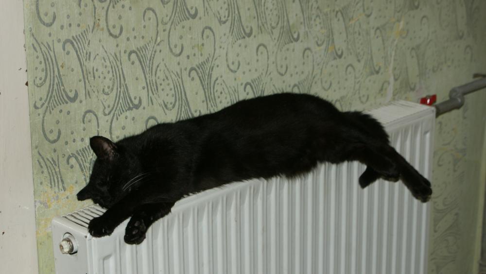 a gdy zima przyjdzie...