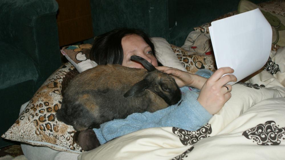 a wieczorem czas na bajkę