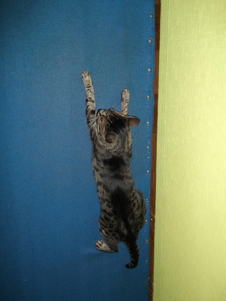 Ulubione miejsce- drzwi