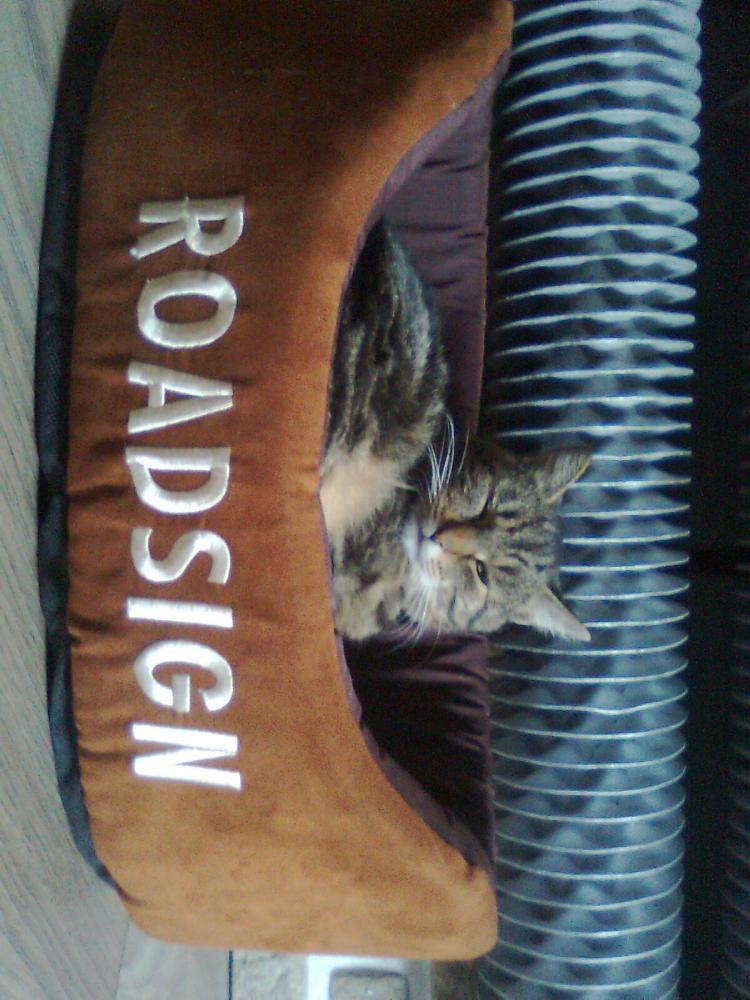 Zamówione-otrzymane:))-na konkurs również:))