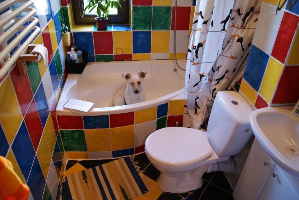 konkurs - zwierzak w moim domu