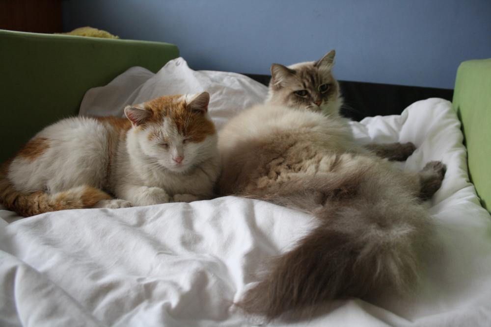 I GDZIE JA SIĘ POŁOŻĘ ?