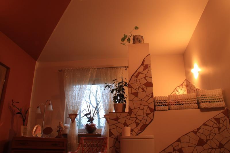 Pokój kąpielowy z kominkiem., zdjęcie 7