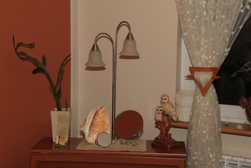 Pokój kąpielowy z kominkiem., zdjęcie 3