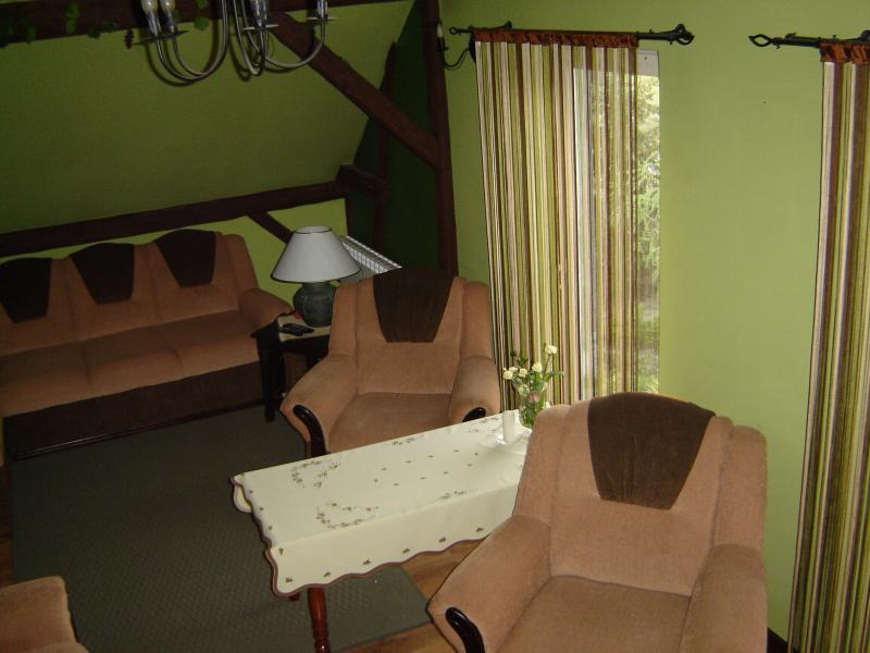 Salon z odkrytymi  belkami i sufitem w szczycie., zdjęcie 9