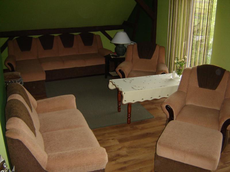 Salon z odkrytymi  belkami i sufitem w szczycie., zdjęcie 10