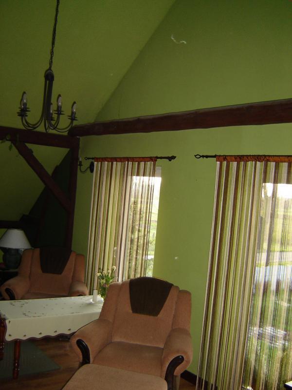 Salon z odkrytymi  belkami i sufitem w szczycie., zdjęcie 13