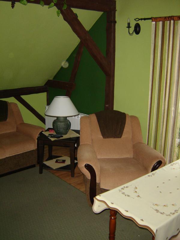 Salon z odkrytymi  belkami i sufitem w szczycie., zdjęcie 1