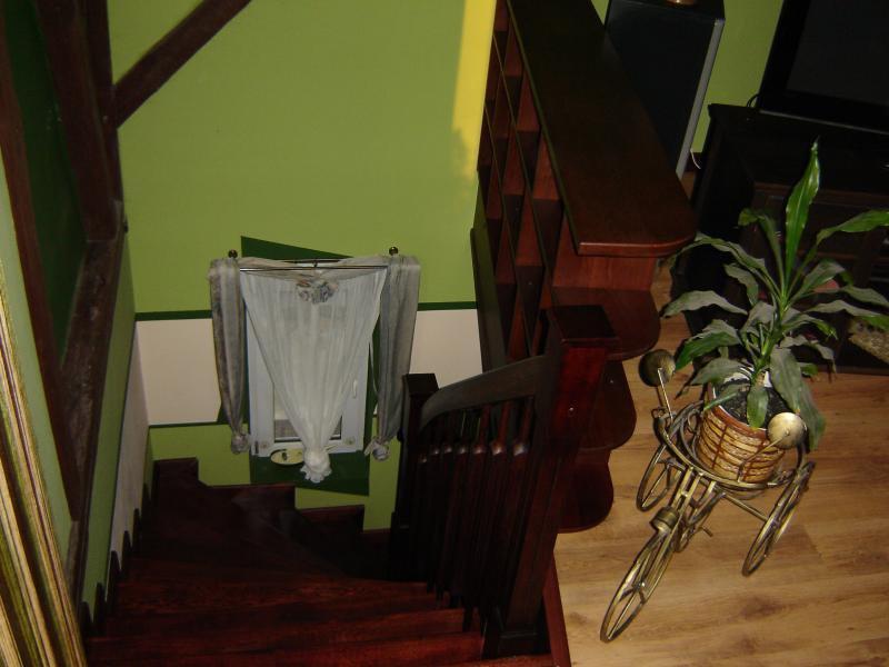 Salon z odkrytymi  belkami i sufitem w szczycie., zdjęcie 18