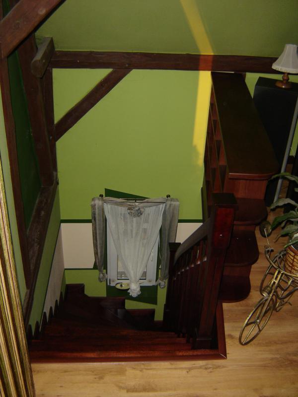 Salon z odkrytymi  belkami i sufitem w szczycie., zdjęcie 19