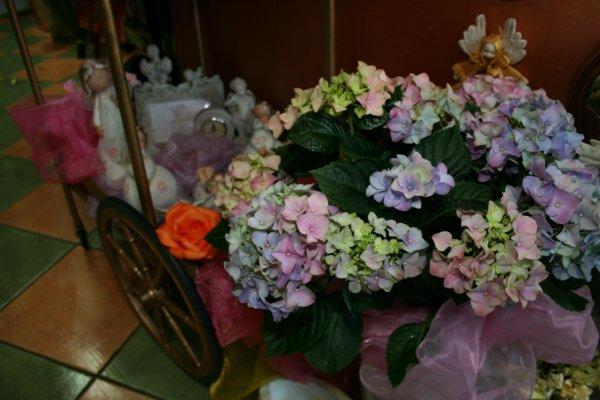 Nasza wiosenna galeria, zdjęcie 53