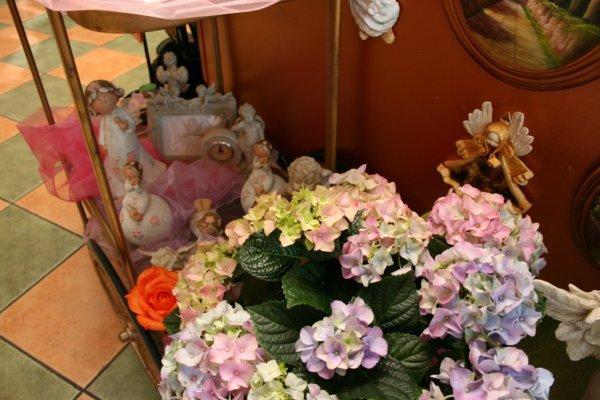 Nasza wiosenna galeria, zdjęcie 79