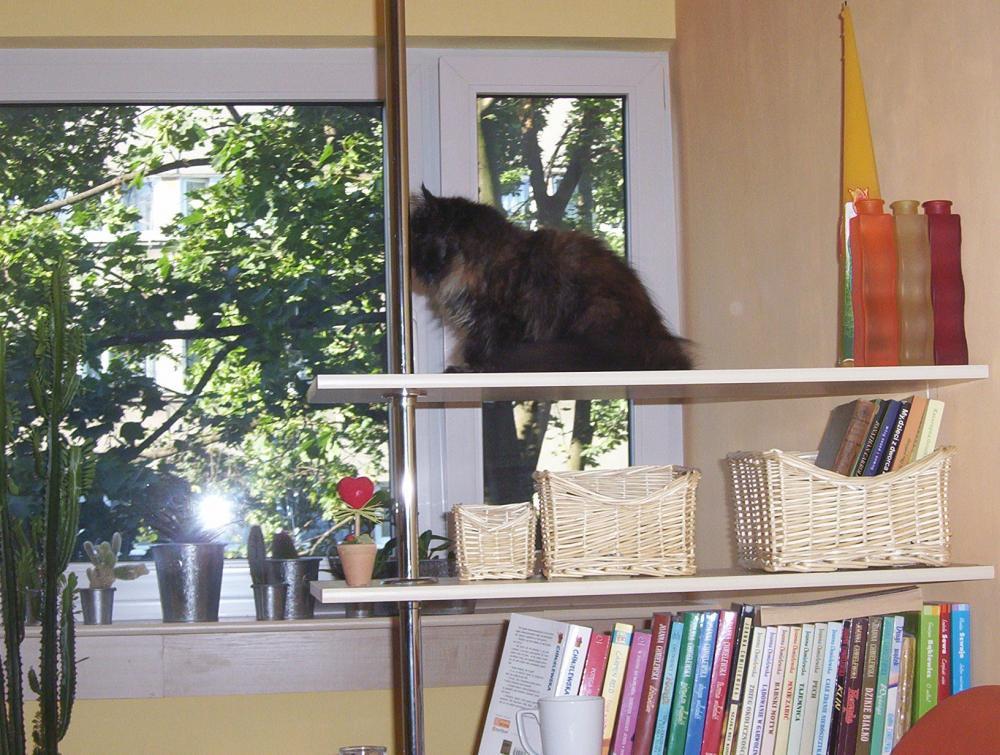 miejsce z duszą, zdjęcie 2