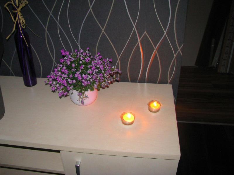 Lilowy Sen, zdjęcie 8