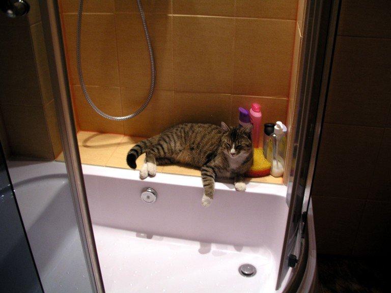 Piramidy, zdjęcie 6