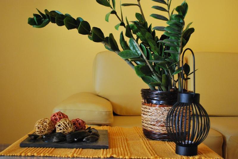 Wspomnienie Afryki, zdjęcie 3