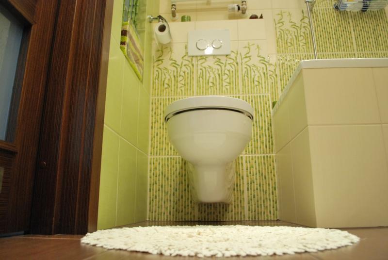 Nasz bambusowy kącik, zdjęcie 6