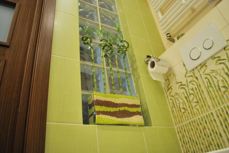 Nasz bambusowy kącik, zdjęcie 9