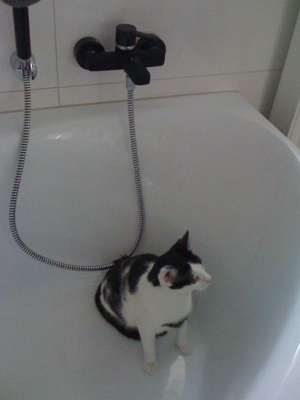 Black & White, zdjęcie 4