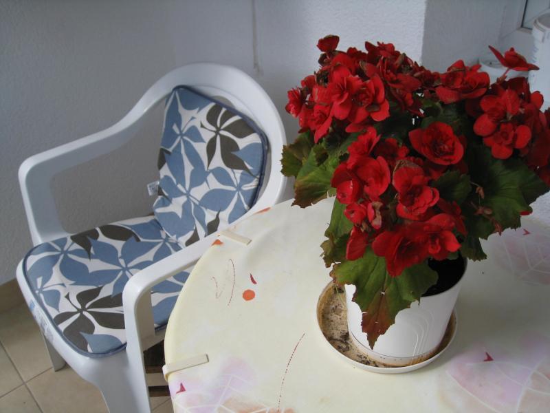 Mój balkon, zdjęcie 4