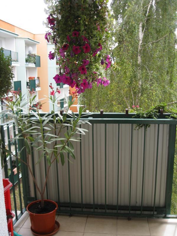 Mój balkon, zdjęcie 3