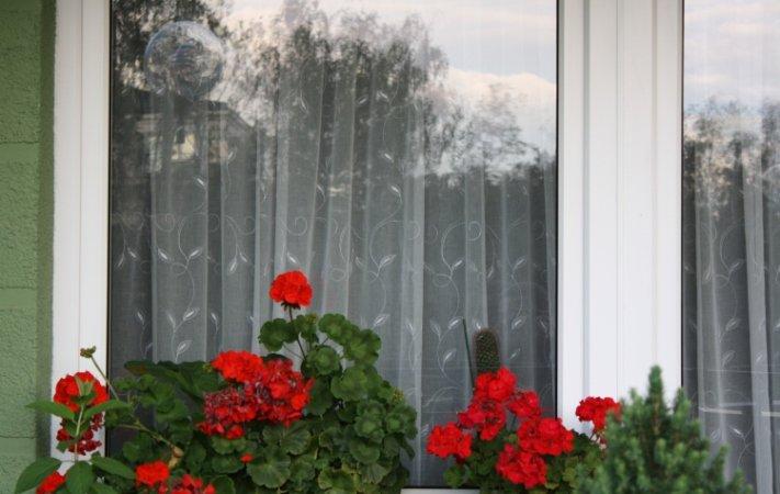 taras w kamieniach..., zdjęcie 2