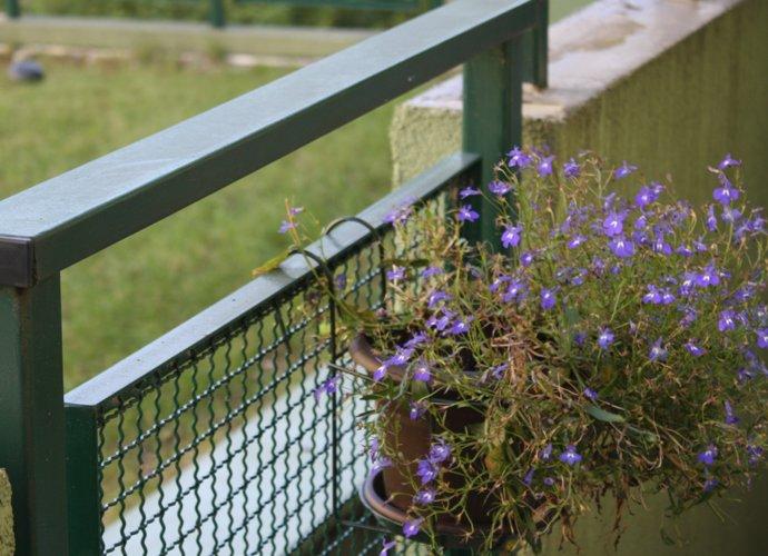 taras w kamieniach..., zdjęcie 4