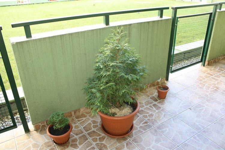 taras w kamieniach..., zdjęcie 3