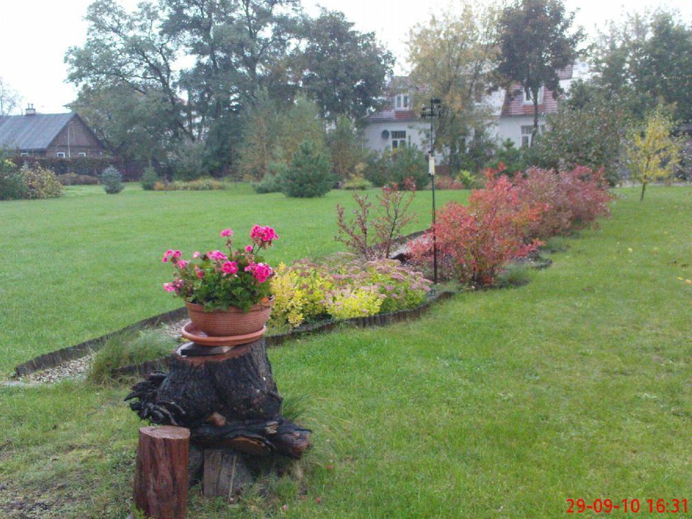 Jesień w ogrodzie, zdjęcie 5