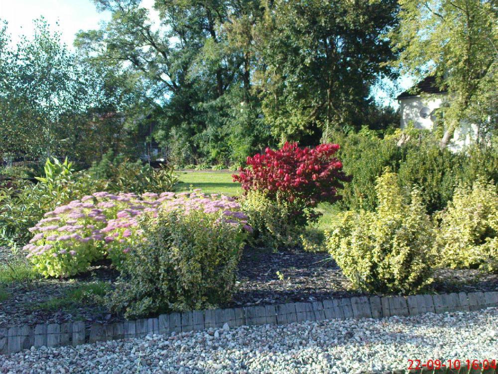 Jesień w ogrodzie, zdjęcie 4