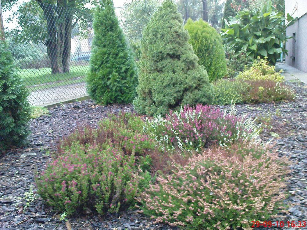 Jesień w ogrodzie, zdjęcie 6