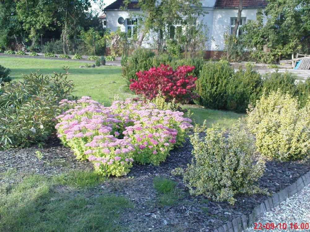 Jesień w ogrodzie, zdjęcie 3