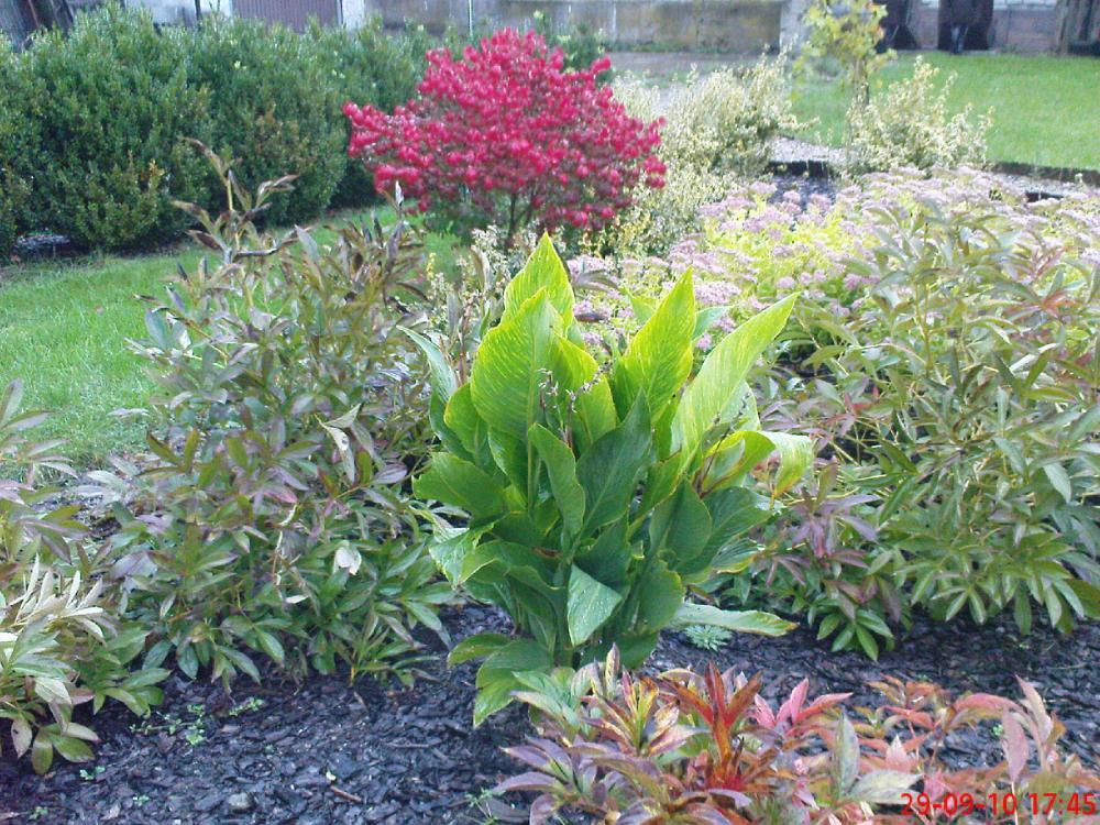 Jesień w ogrodzie, zdjęcie 9