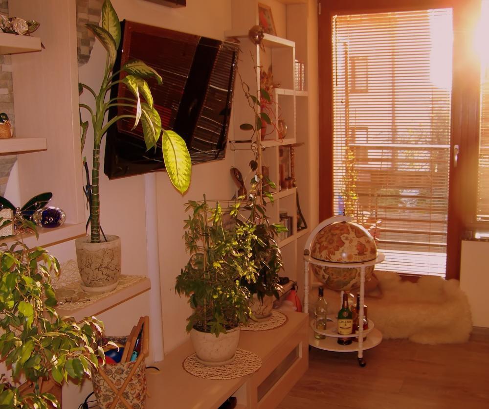 Nasz słoneczny salon, zdjęcie 3