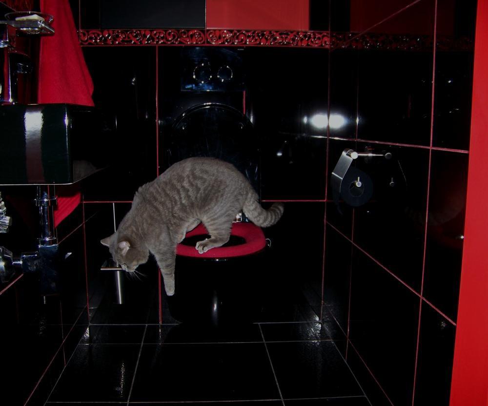 WC dla gosci, zdjęcie 8