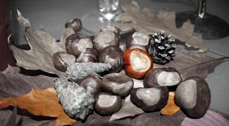 salon i kuchnia z jesienią , zdjęcie 2