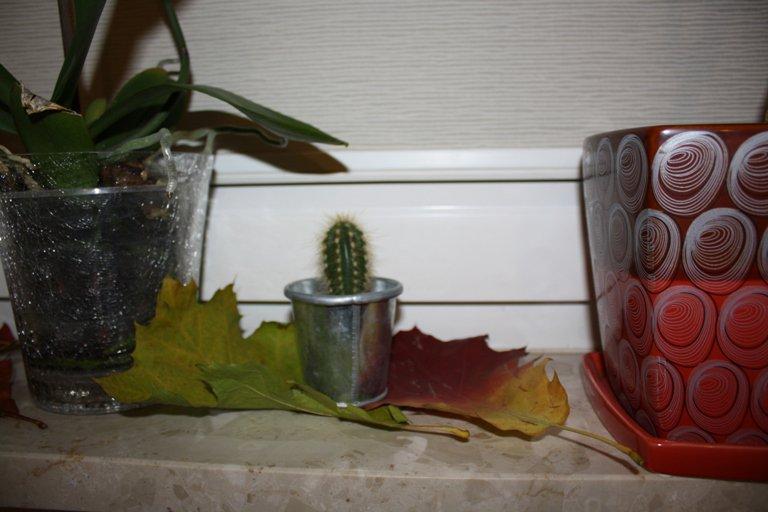 salon i kuchnia z jesienią , zdjęcie 10