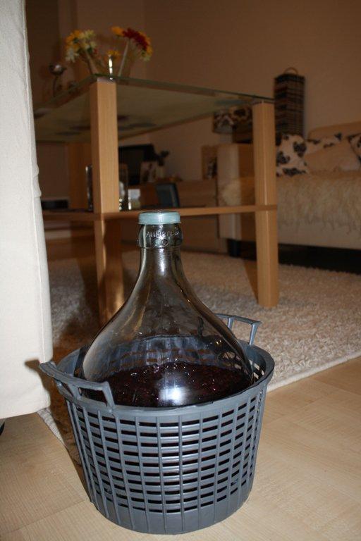 salon i kuchnia z jesienią , zdjęcie 12