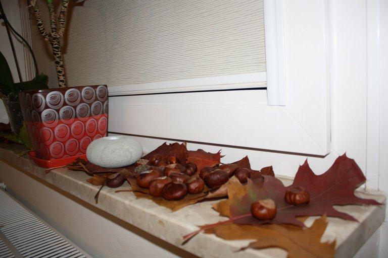 salon i kuchnia z jesienią , zdjęcie 3