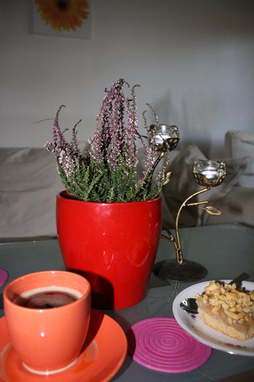 salon i kuchnia z jesienią , zdjęcie 5