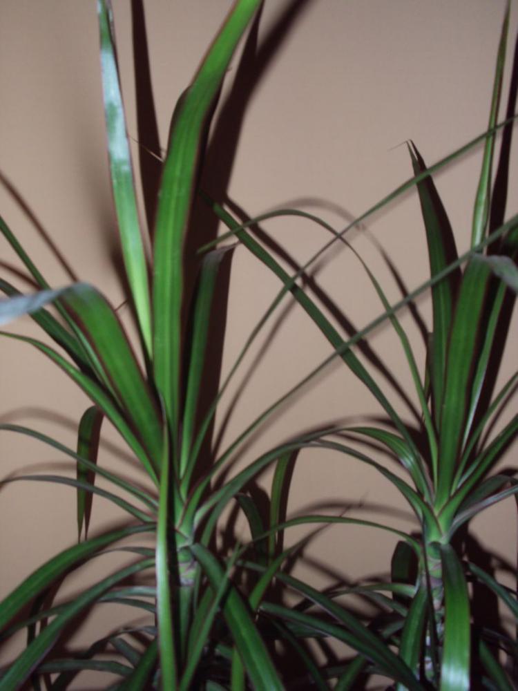 Kuchnia w barwach jesieni, zdjęcie 3