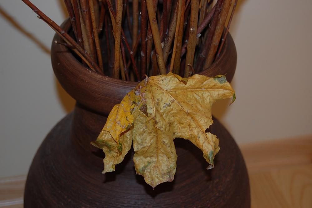 Jesienny pokój, zdjęcie 2