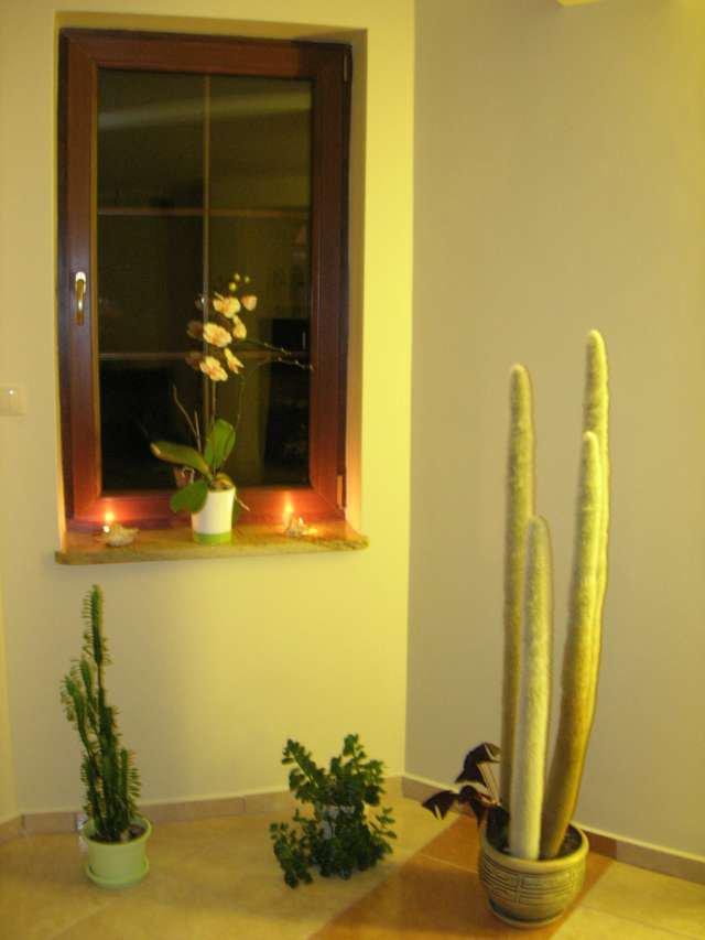 Kolory jesieni w naszym salonie, zdjęcie 1