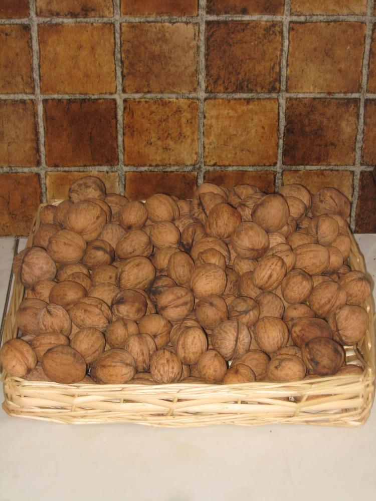 Moja jesienna kuchnia, zdjęcie 5