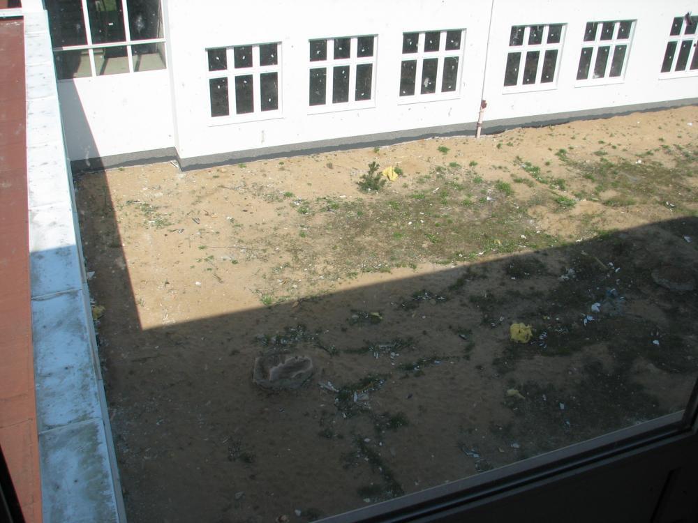 Gimnazjum - Patio, zdjęcie 2