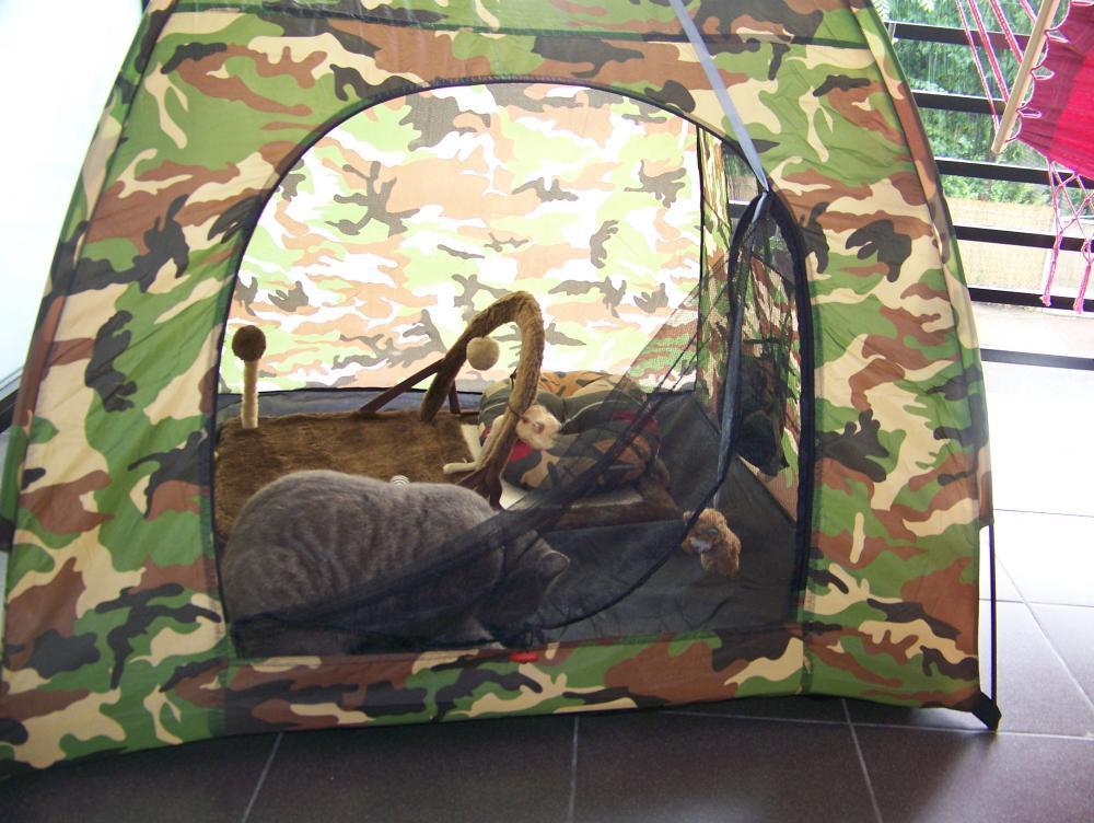 Balkon latem, zdjęcie 2