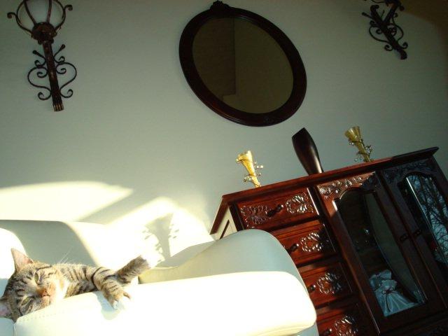 Coś dla miłośników Hobbitonu :), zdjęcie 5